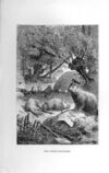 Thumbnail 0119 of Captain Wolf