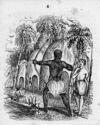 Thumbnail 0005 of Young captives