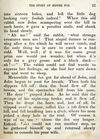 Thumbnail 0025 of The story of Mister Fox