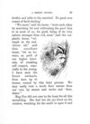 Thumbnail 0039 of Cheep and chatter