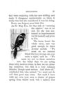 Thumbnail 0054 of Cheep and chatter