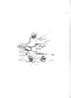 Thumbnail 0108 of Cheep and chatter
