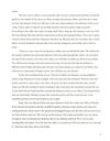 Thumbnail 0023 of The birds who flew beyond time