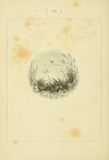 Thumbnail 0030 of Hymns in prose for children