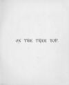 Thumbnail 0008 of On the tree top