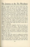 Thumbnail 0119 of The marvelous land of Oz
