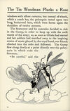 Thumbnail 0264 of The marvelous land of Oz