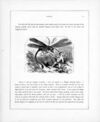Thumbnail 0065 of Little workers