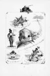 Thumbnail 0026 of Proverbs