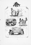 Thumbnail 0027 of Proverbs