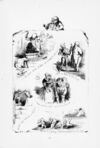 Thumbnail 0030 of Proverbs