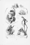Thumbnail 0035 of Proverbs