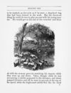 Thumbnail 0056 of Sunny corner