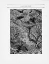 Thumbnail 0073 of Sunny corner