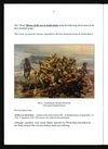 Thumbnail 0010 of ANZAC day