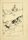 Thumbnail 0037 of Fables in feather