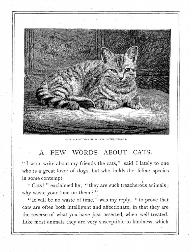 Scan 0114 of Brooks story and other narratives