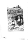 Thumbnail 0024 of Rollicking rhymes