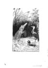 Thumbnail 0036 of Rollicking rhymes