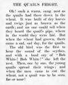 Thumbnail 0031 of The one syllable book