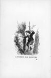 Thumbnail 0046 of Cracked corn