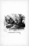 Thumbnail 0136 of Cracked corn