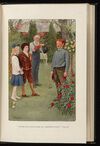 Thumbnail 0363 of The secret garden