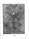 Thumbnail 0007 of The fairies