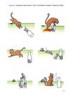 Thumbnail 0011 of Cuentos infantiles