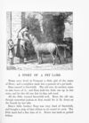Thumbnail 0041 of Golden rays