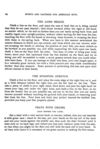 Thumbnail 0027 of The sports and pastimes of American boys