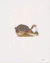 Thumbnail 0040 of Et l