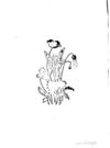 Thumbnail 0255 of Zauberlinda, the wise witch