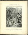Thumbnail 0031 of A southern cross fairy tale
