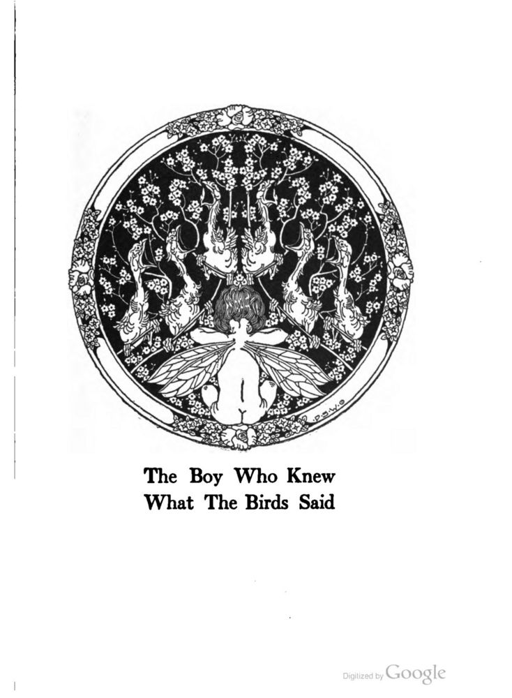 Scan 0005 of The boy who knew what the birds said