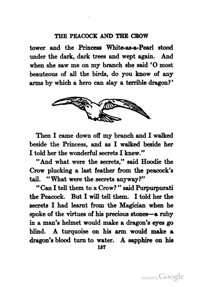 Scan 0163 of The boy who knew what the birds said