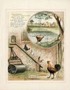 Thumbnail 0004 of Various kinds of babes in the wood at home, and abroad, in verse and picture