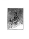 Thumbnail 0034 of Popsey Manor