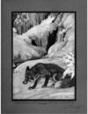 Thumbnail 0335 of An argosy of fables