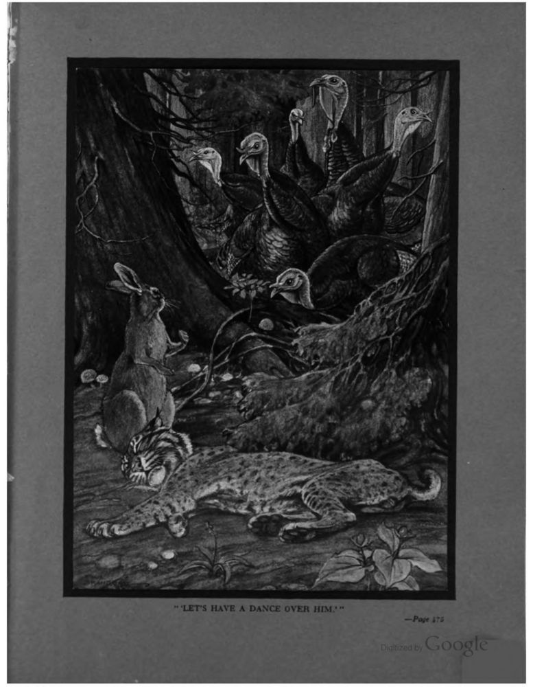 Scan 0551 of An argosy of fables