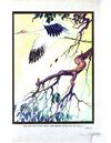 Thumbnail 0559 of An argosy of fables