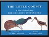 Thumbnail 0001 of The little godwit