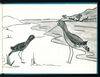 Thumbnail 0007 of The little godwit