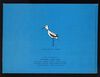 Thumbnail 0040 of The little godwit