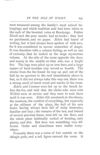 Thumbnail 0255 of Cµdwalla
