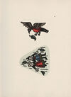 Thumbnail 0066 of Crawhall