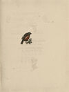 Thumbnail 0072 of Crawhall