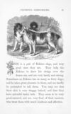 Thumbnail 0092 of Our parlour panarama