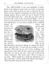 Thumbnail 0019 of Little one