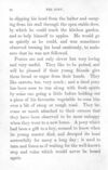 Thumbnail 0024 of Pictures and stories of natural history